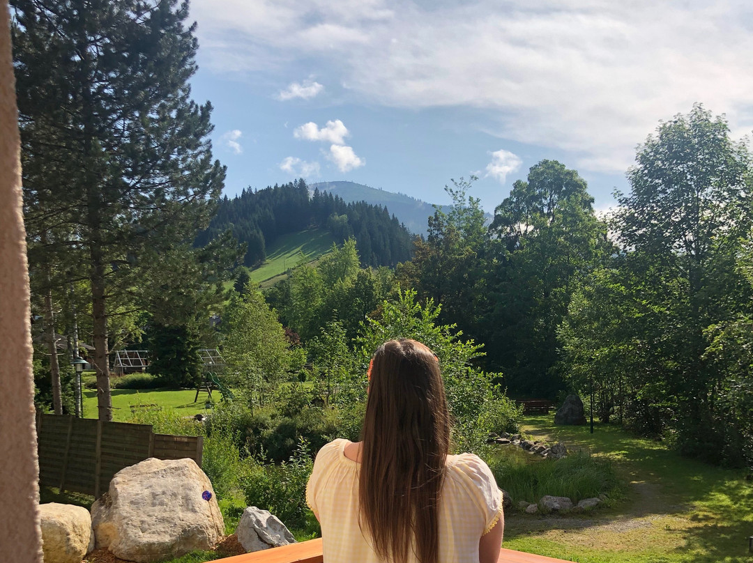 Wellness- Und Aparthotel Dachsteinresort主图