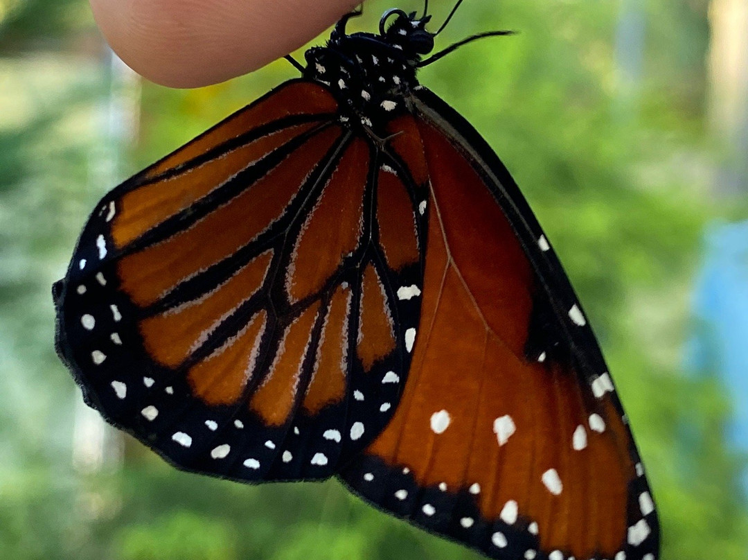 Sweetbriar Nature Center-Smithtown必去景点