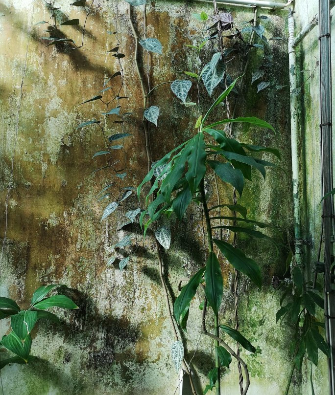 Botanischer Garten-哥廷根必去景点
