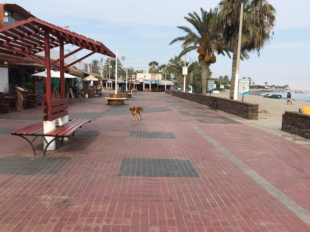 Malecon El Chaco景点图片