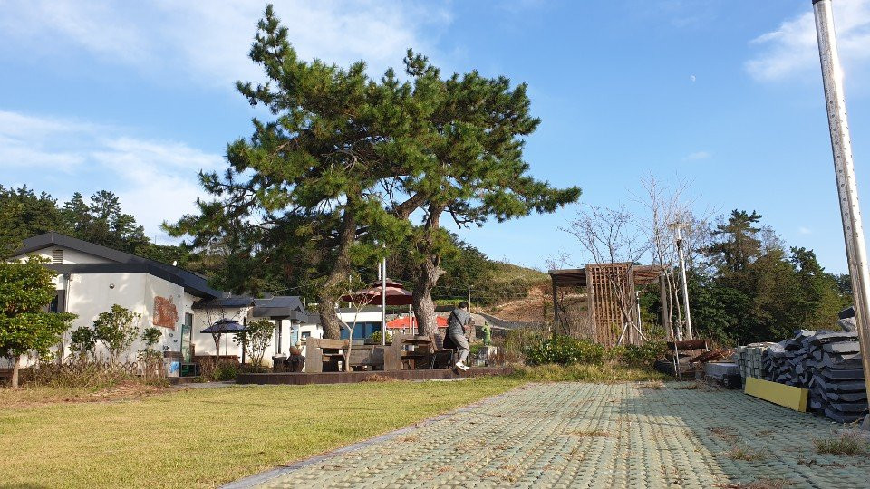 Yeonhongdo-高兴郡必去景点