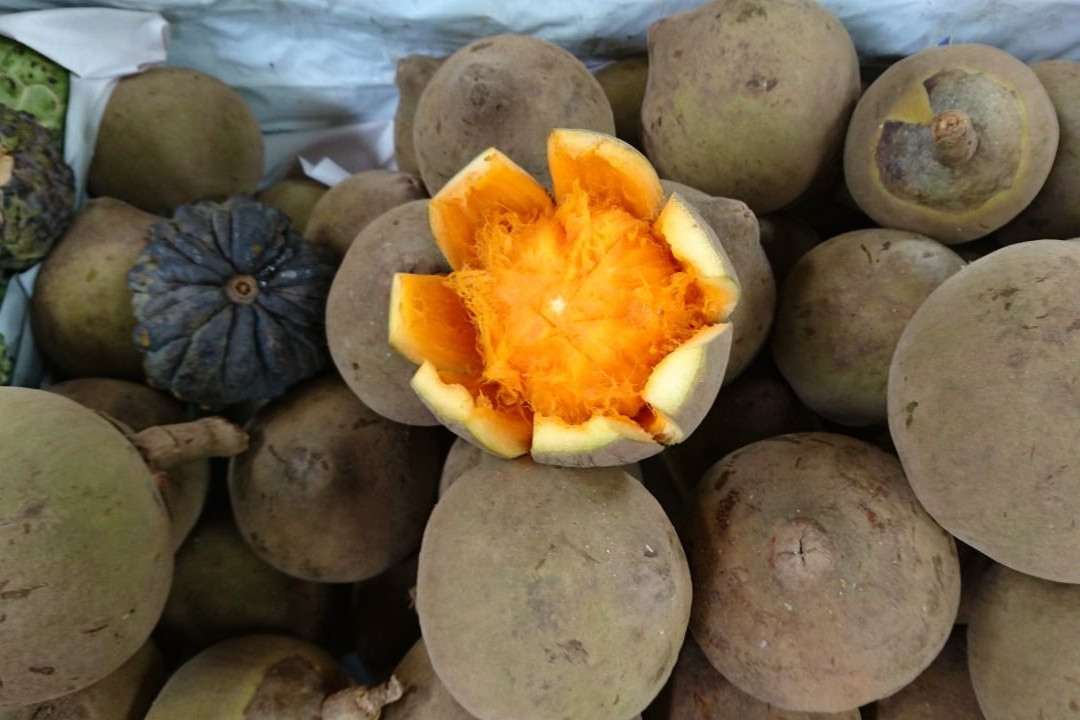 Chasing Plazas-波哥大必去景点