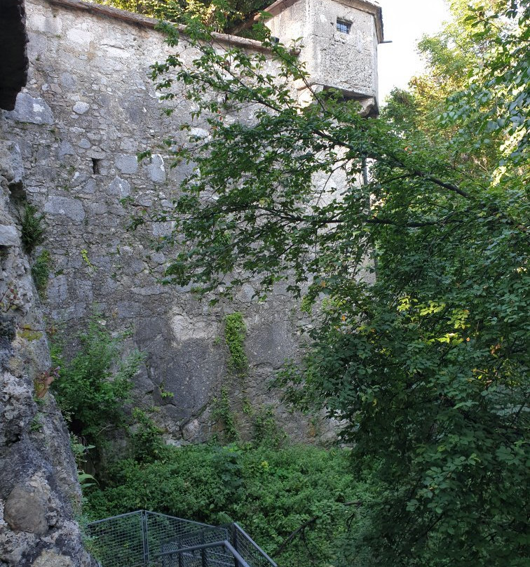 Salzburg景点图片