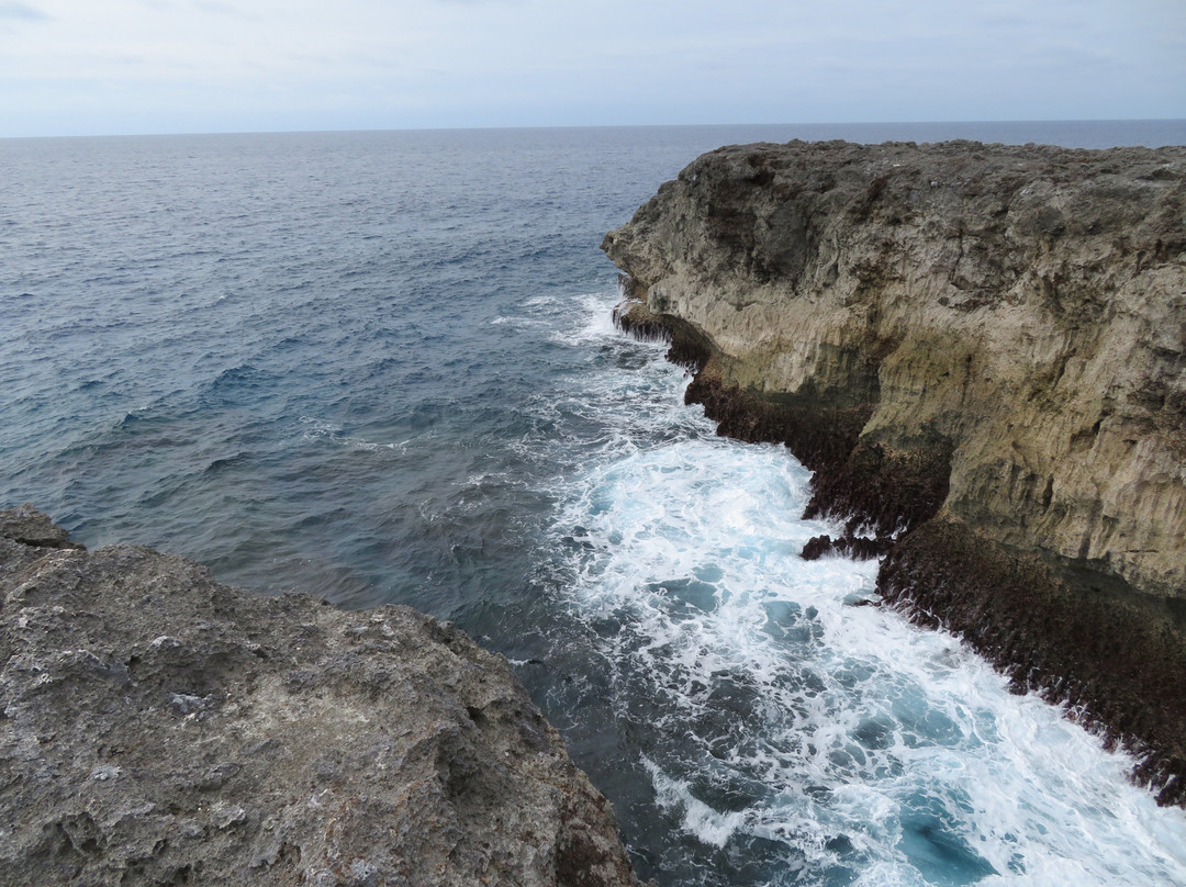 Cape Takanazaki景点图片