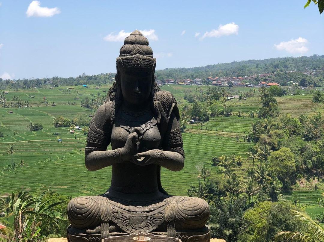 Bali Mandala Tours-乌布必去景点