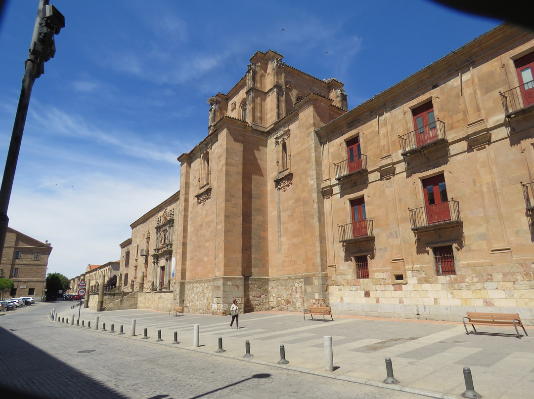 Colegio Mayor Arzobispo Fonseca (Archbishop Fonseca College)-萨拉曼卡必去景点