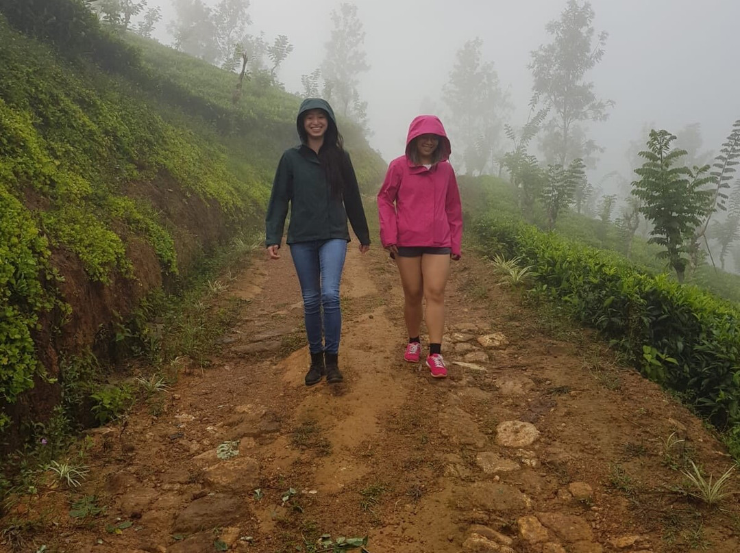 Hatale Mini World's End Bungalow主图