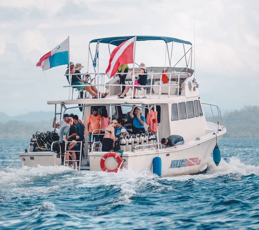 Bocas Dive Center景点图片