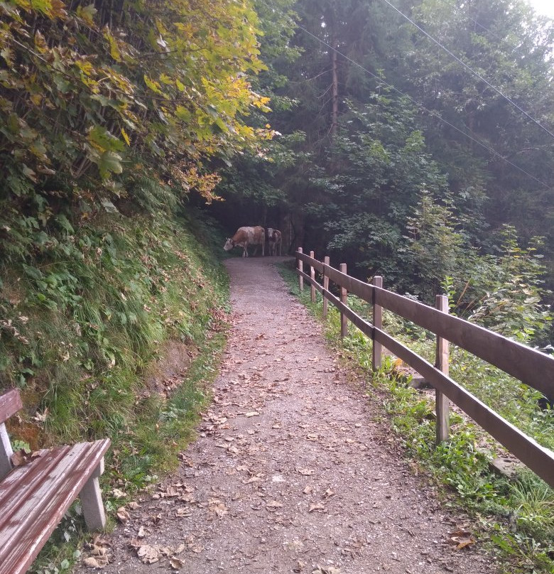 Der Gasteiner Hoehenweg-泉卡斯汀必去景点