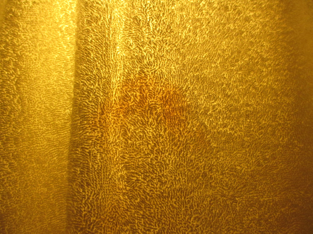 埃尔赛冈多希尔顿花园酒店主图