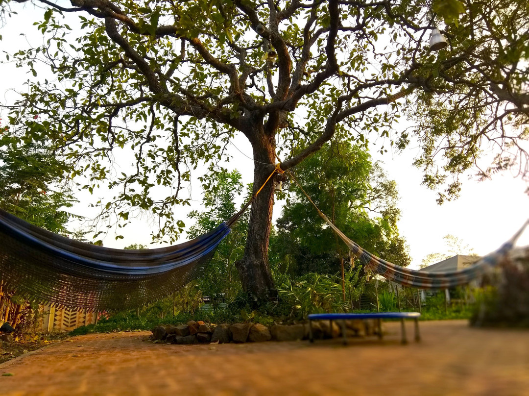 Bohemyan Blue Stay主图