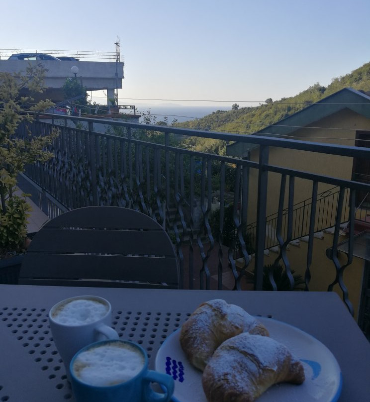 Il Covo delle Civette主图