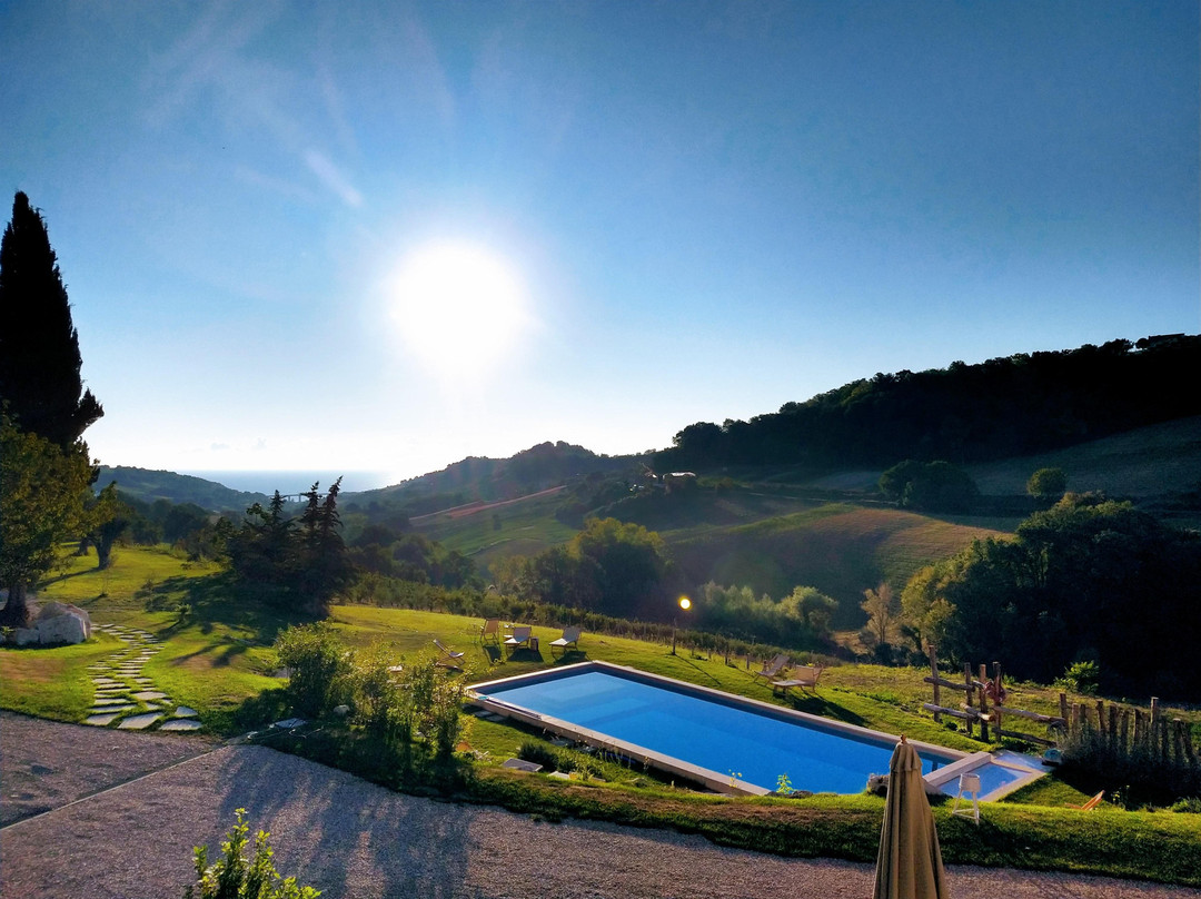 GaeLeon Campofilone
