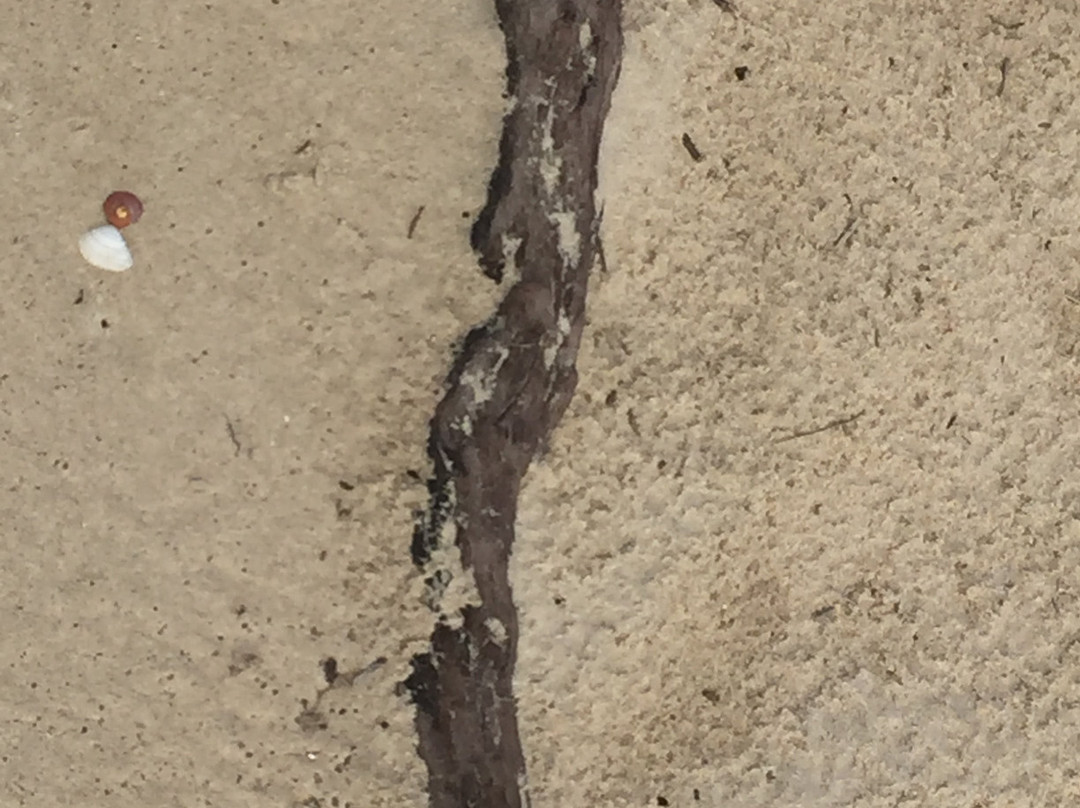 Ninety Mile Beach Marine National Park-维多利亚必去景点