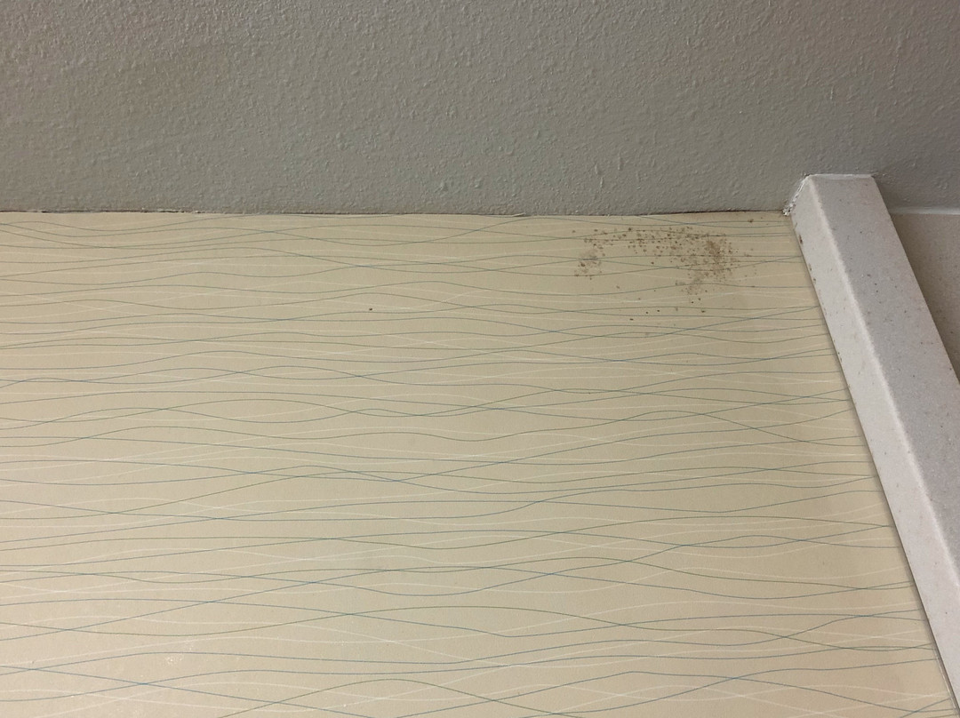 Hampton Inn & Suites Baton Rouge/Port Allen主图