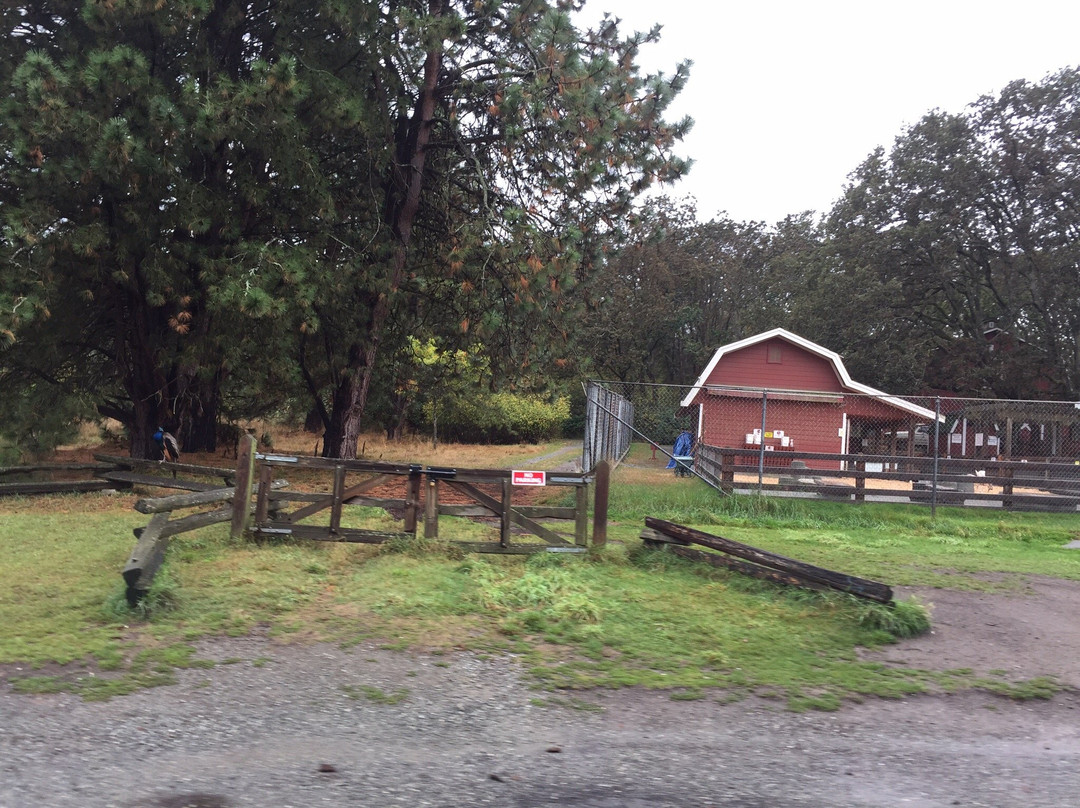 Beacon Hill Children's Farm-维多利亚必去景点