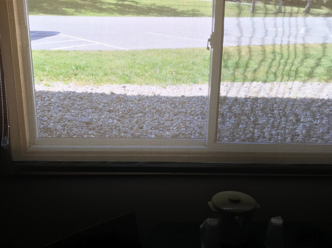 Black Bear Lodge主图