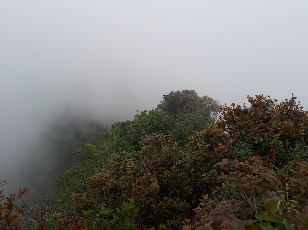 Mount Arayat景点图片