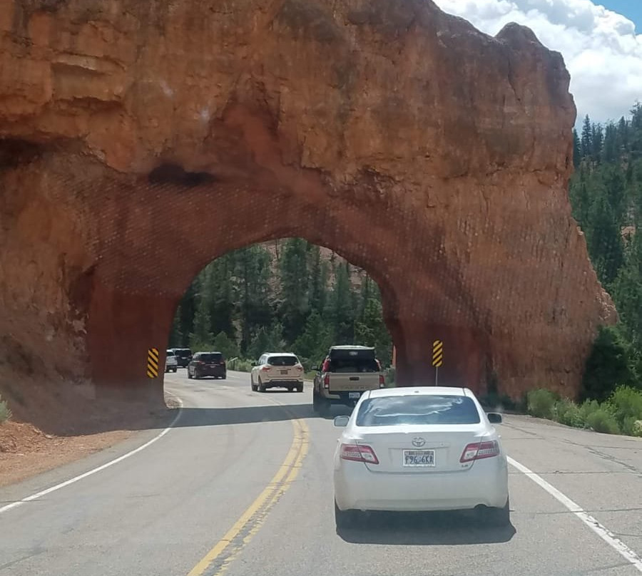 Top Canyon Tours-拉斯维加斯必去景点