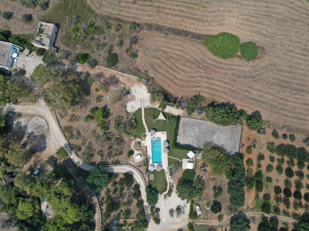 Tenuta Don Salvatore主图