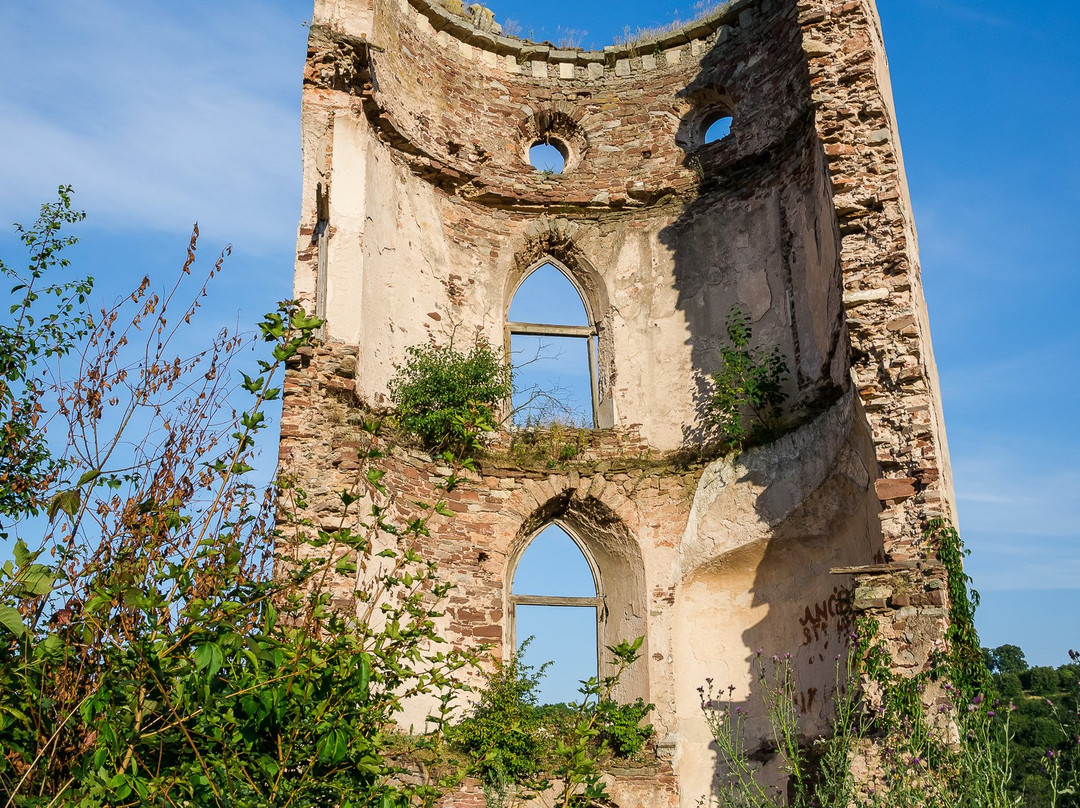 Chervonohorod Castle景点图片