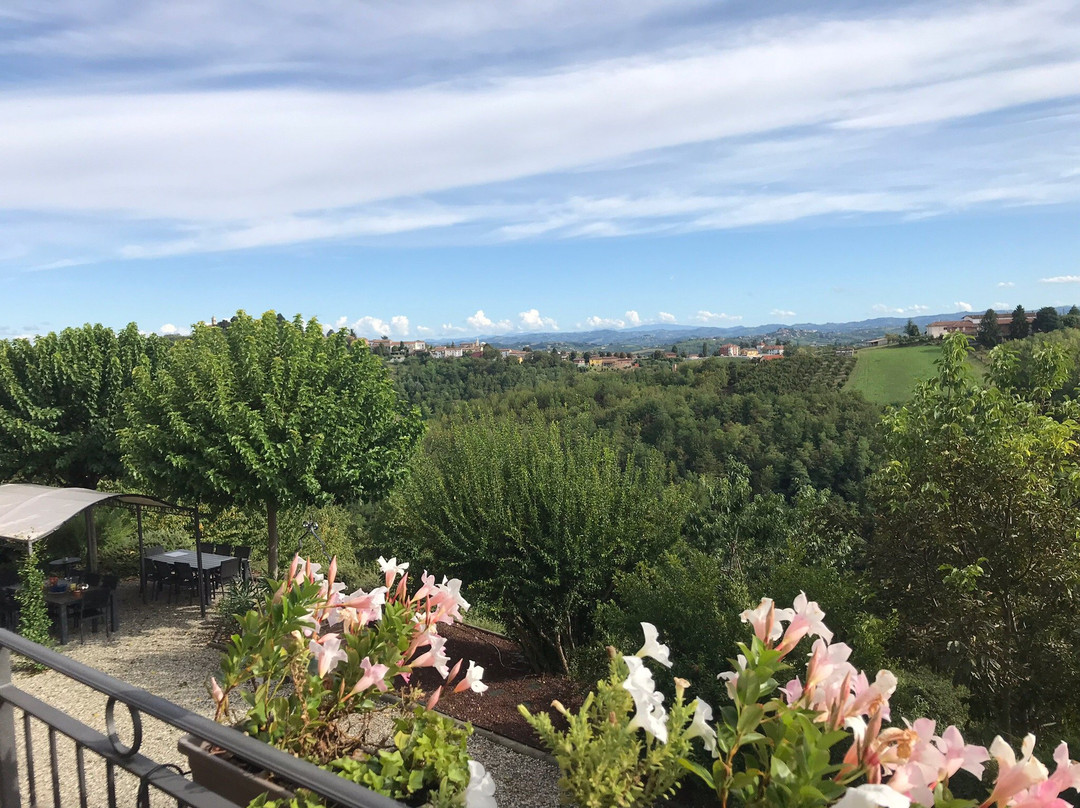 Alta Villa The Countryhouse Luxury Bed and Breakfast主图