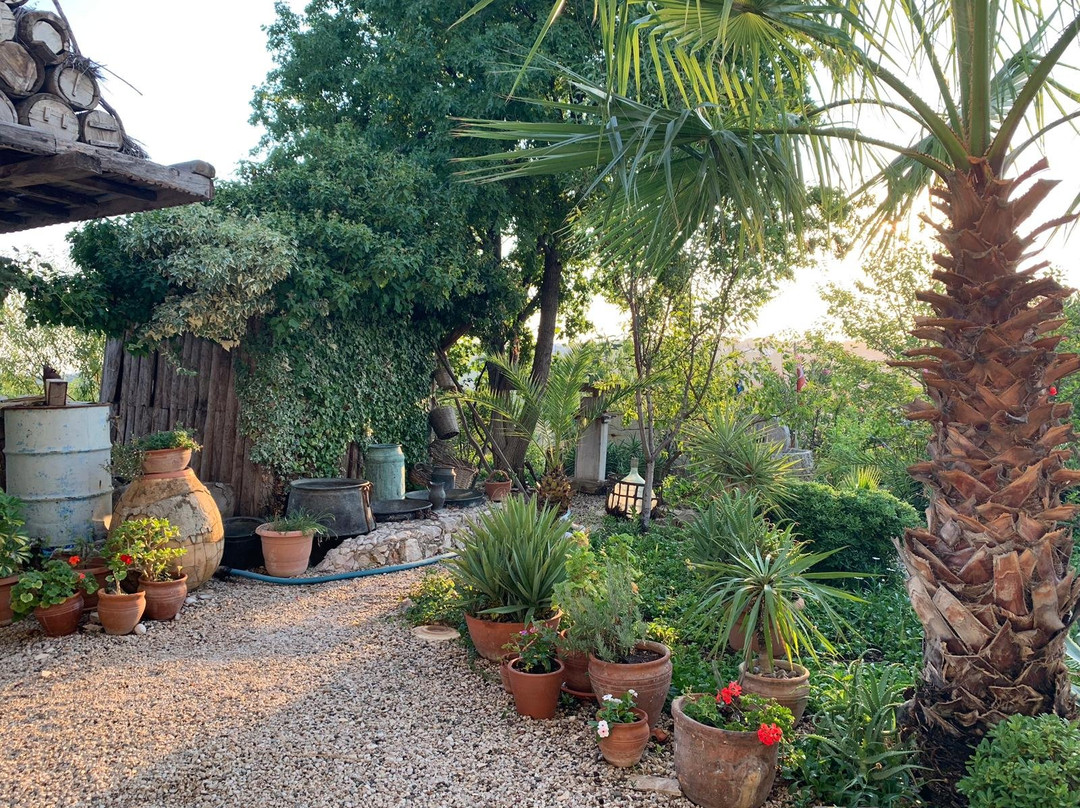 Patara Viewpoint Hotel主图