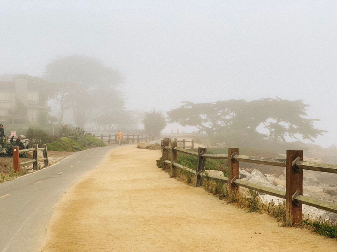 Monterey Bay Coastal Recreation Trail景点图片