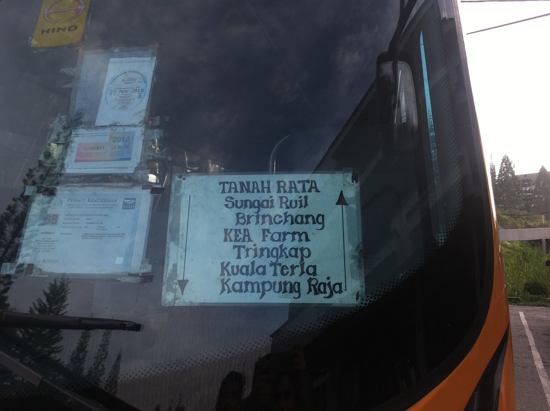 Terminal Freesia-丹那拉塔必去景点