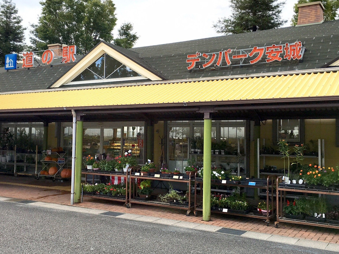 Michi-no-Eki Denpark Anjo景点图片