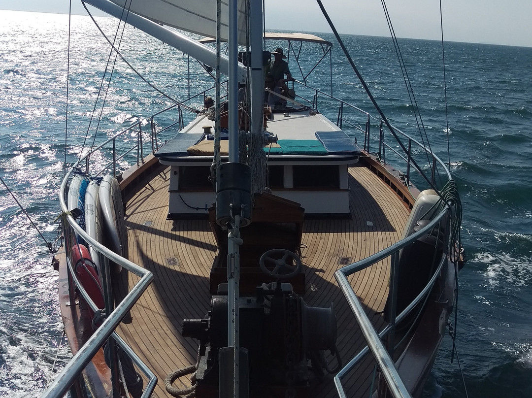 Bahia Sailing Tours-La Cruz de Huanacaxtle必去景点