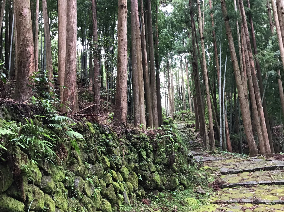 Matsumoto Toge-熊野市必去景点