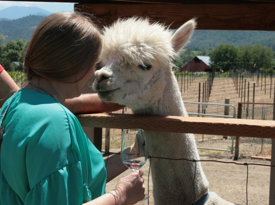 The Rellik Winery-Central Point必去景点