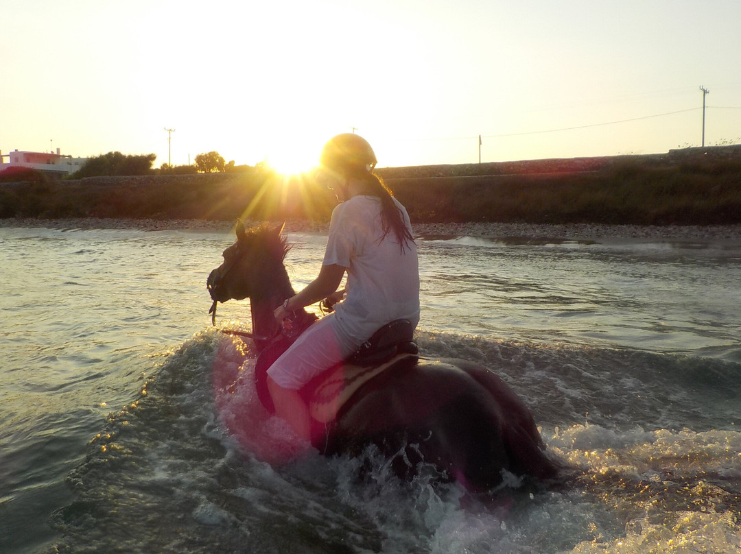 Kokou Horse Riding Center-纳乌萨必去景点