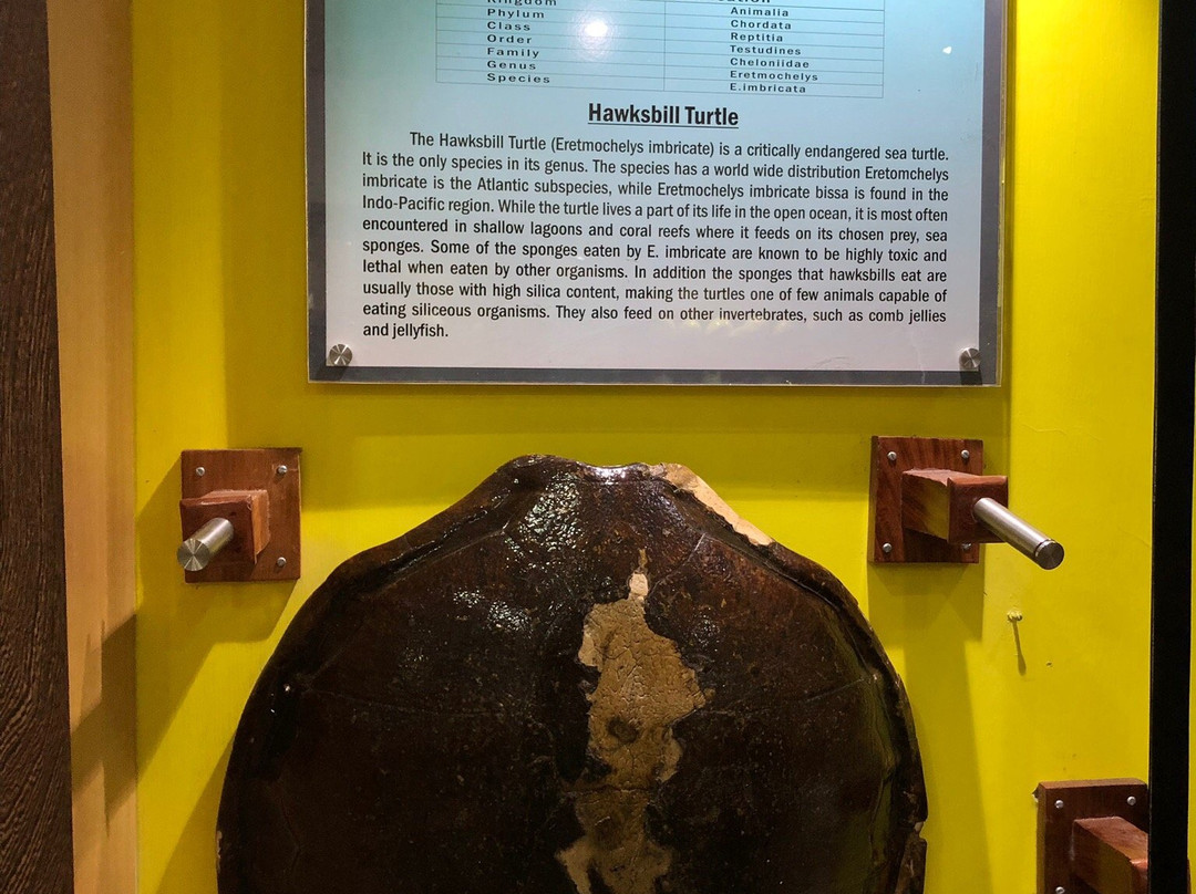 Marina Park and Aquarium-布莱尔港必去景点