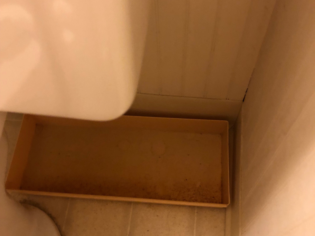 Alpine Resort & Golf主图