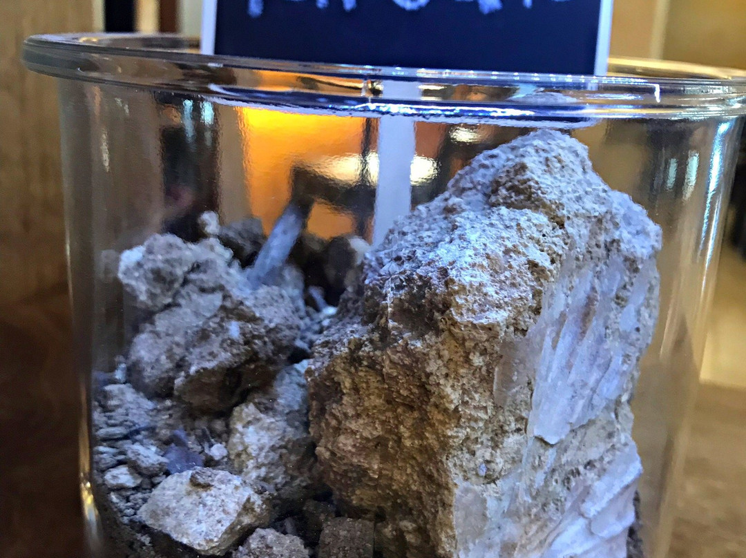 Cantina Conti Zecca-Leverano必去景点