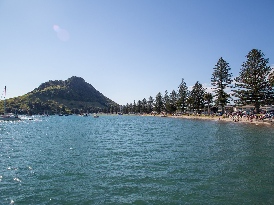 Wicked Wanders-陶兰加必去景点