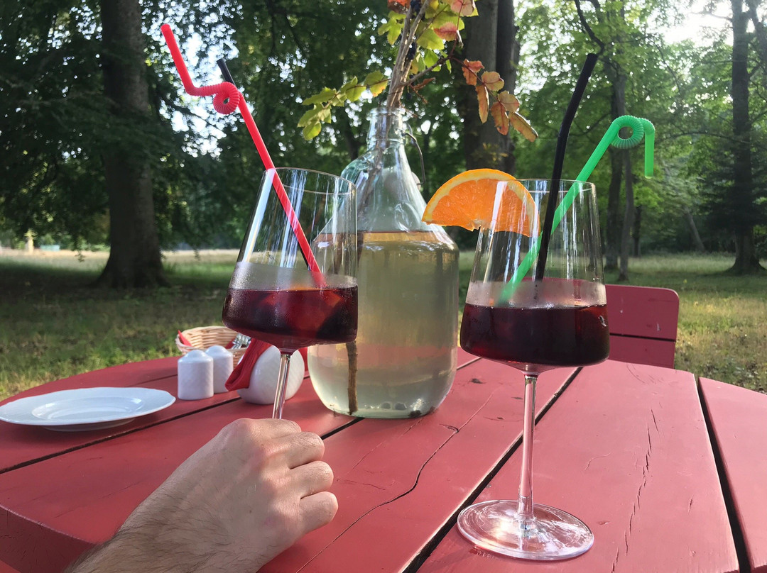 Sasino Palace Hotel主图