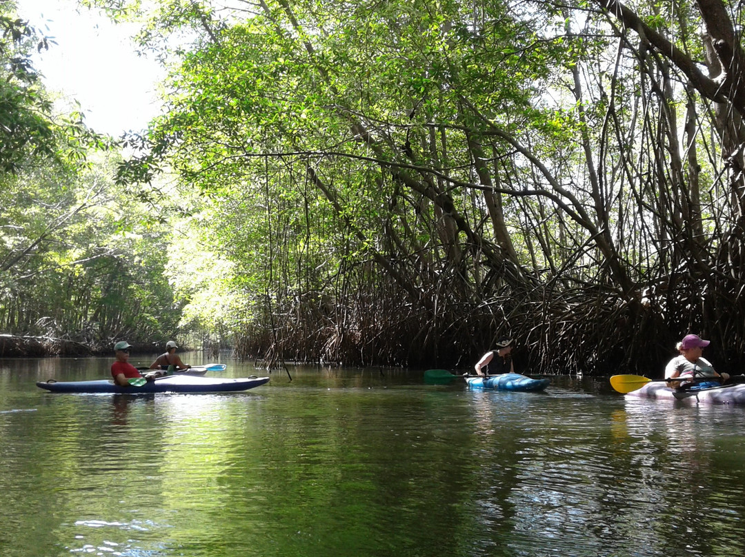Castillo Divertido主图