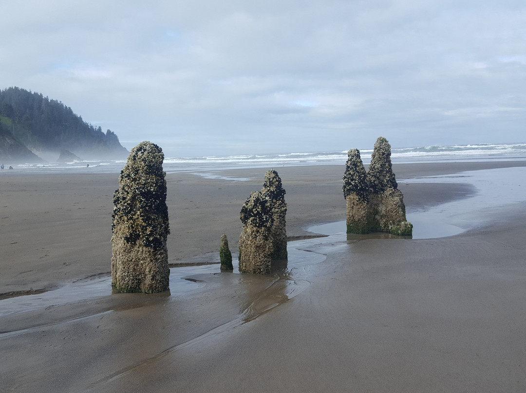 Neskowin Beach景点图片