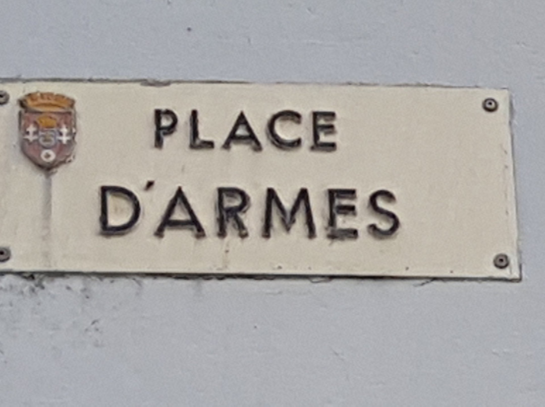 Place d'Armes景点图片