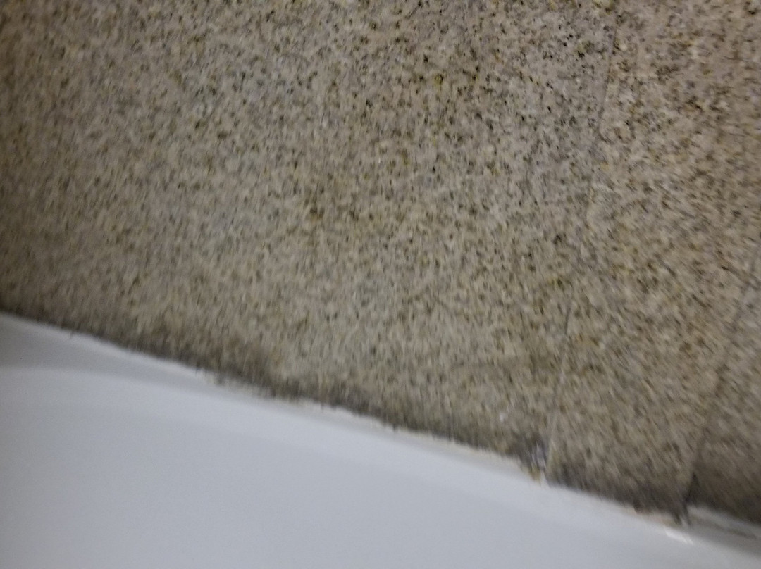 哥伦比亚东北-杰克逊堡舒适套房酒店主图