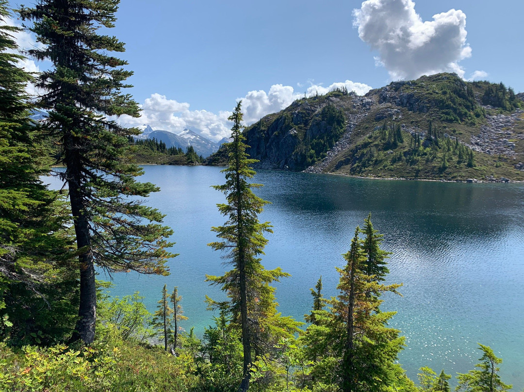 Bella Coola Mountain Lodge主图