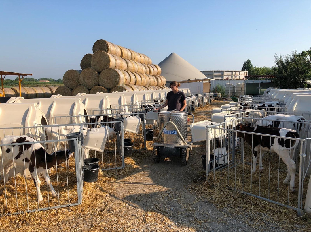 Azienda Agricola Passini景点图片