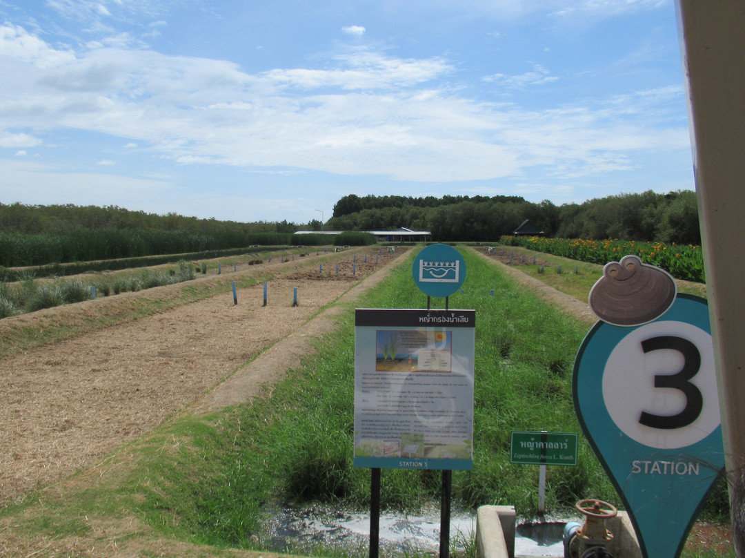 Laem Phak Bia Environmental Research and Development Project景点图片