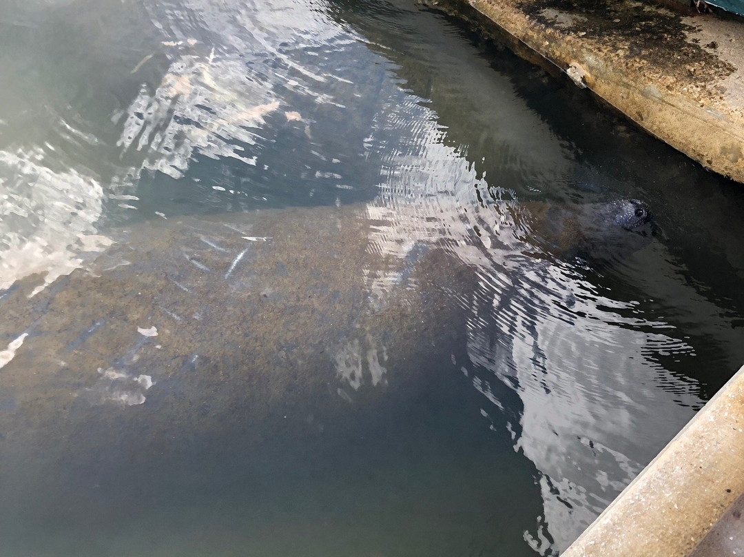 Jensen's Marina Boat Rentals-俘虏岛必去景点