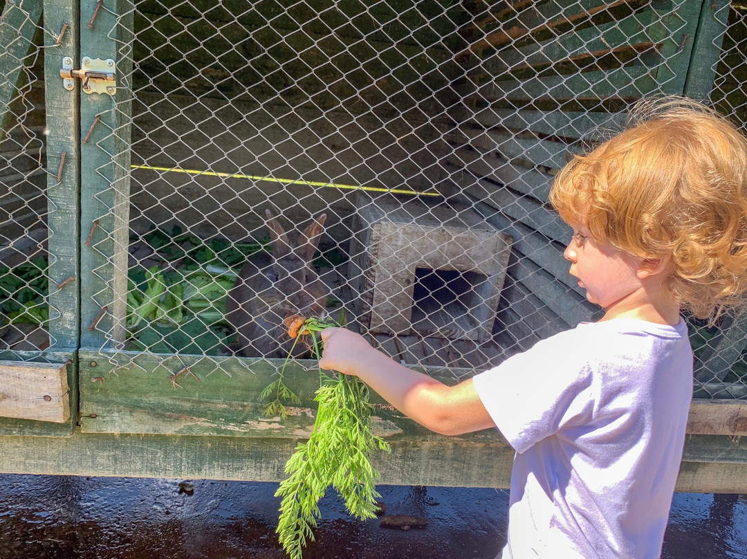 Pousada dos Pinhos主图