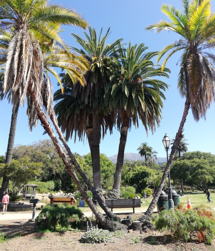 Alice Keck Park Memorial Gardens-圣巴巴拉必去景点