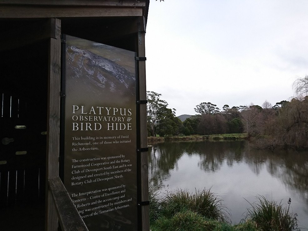 The Tasmanian Arboretum景点图片